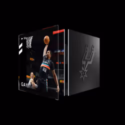 Rudy Gay - Base Set (Series 2) #20286
