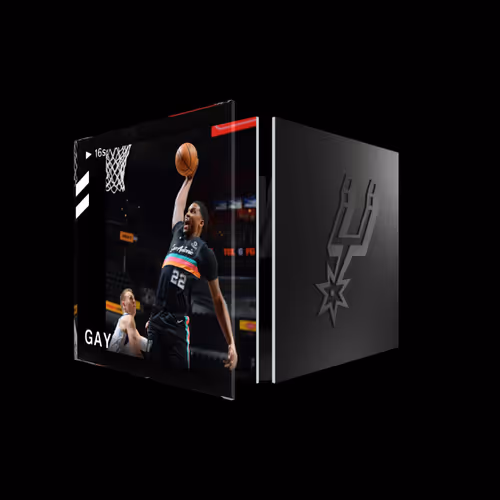Rudy Gay - Base Set (Series 2) #28260
