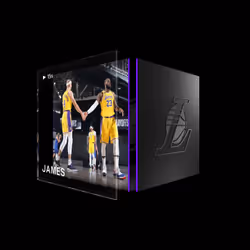 LeBron James - Base Set (Series 1) #2171