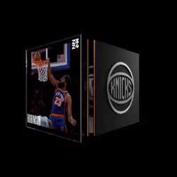 Mitchell Robinson - Base Set (Series 2023-24) #3904