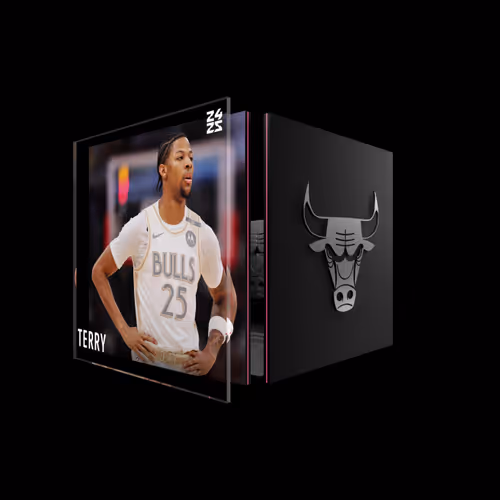 Dalen Terry - Base Set (Series 2024-25) #6106