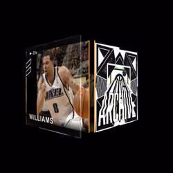 Deron Williams - Archive Set (Summer 2021) #852