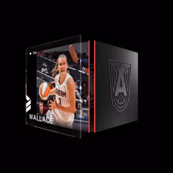 Kristy Wallace - WNBA Base Set (Series 4) #2328