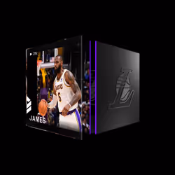 LeBron James - Base Set (Series 4) #903
