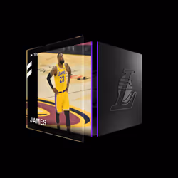 LeBron James - Base Set (Series 2) #25479