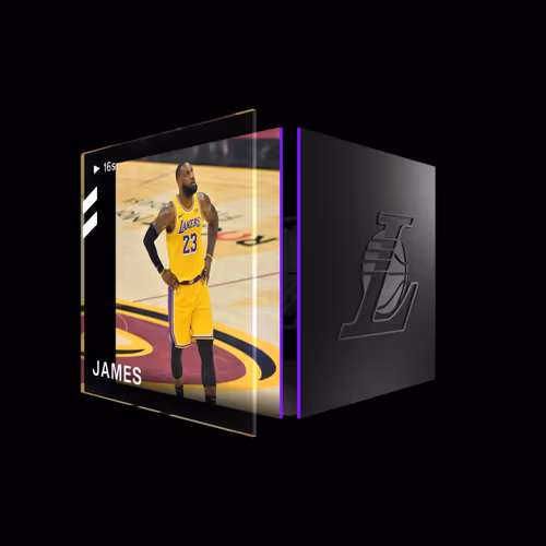 LeBron James - Base Set (Series 2) #25479