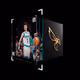 LaMelo Ball - Metallic Gold LE (Series 2023-24) #243