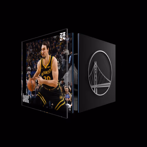 Dario Šarić - Base Set (Series 2023-24) #788