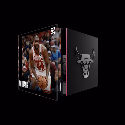 Patrick Williams - Base Set (Series 2023-24) #7767