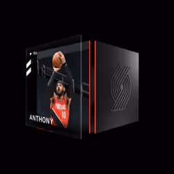 Carmelo Anthony - Base Set (Series 2) #11270