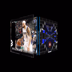 Deron Williams - Archive Set 2014-19 (Series 4) #1362