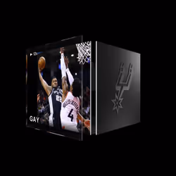 Rudy Gay - Base Set (Series 1) #2843