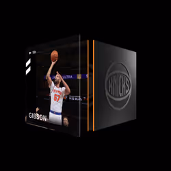 Taj Gibson - Base Set (Series 2) #11974