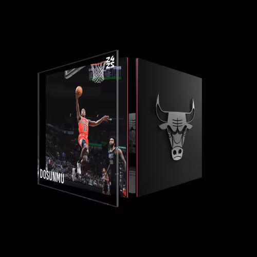 Ayo Dosunmu - Base Set (Series 2024-25) #7279