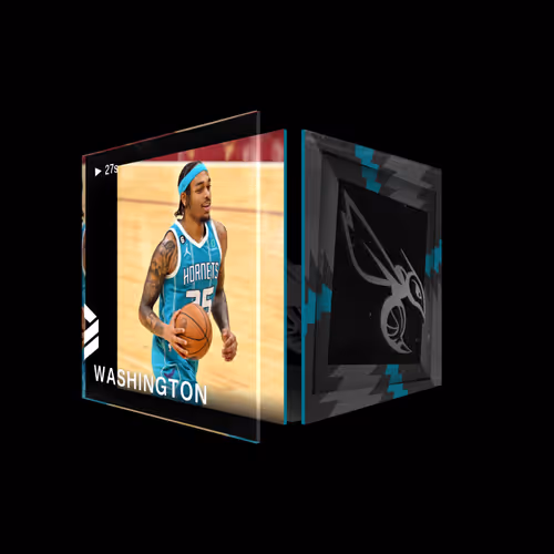 P.J. Washington - Base Set (Series 4) #1059