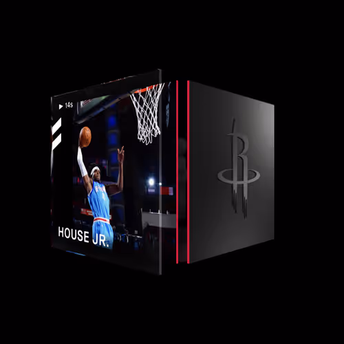 Danuel House Jr. - Base Set (Series 2) #4259