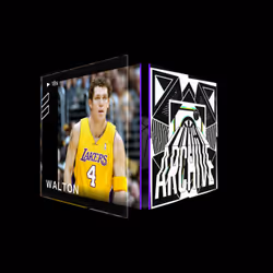 Luke Walton - Archive Set (Summer 2021) #18313