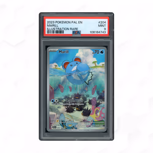 2023 Paldea Evolved Marill #204 PSA 9