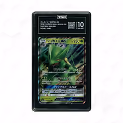 2018 Japanese Fairy Rise Sceptile GX #5 TAG 10