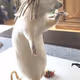 Rats With Hats