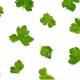 Green leaves