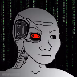 项目媒体占位符