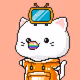 FLOWCAT