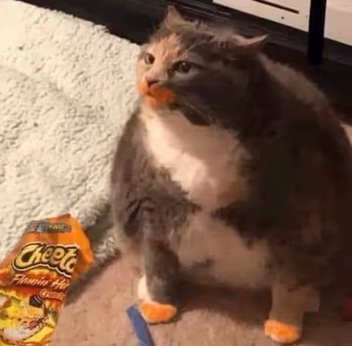 Cheatos