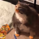 Cheatos