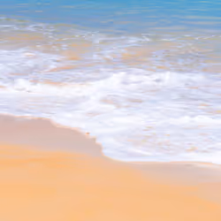 アイテム メディア プレースホルダー