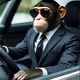 Business Monkey