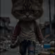 Seddy Catty