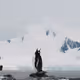 Arctic Expedition