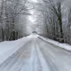 snow load