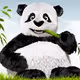 Pandas