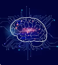 brain