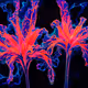 fLOWers by MLow