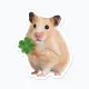 hamzziworld