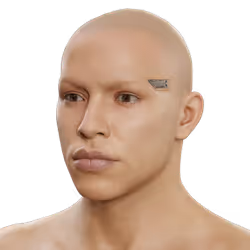 Post-human