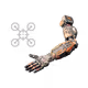 20862846
