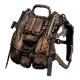54346581