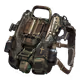 36669886