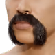 52816941