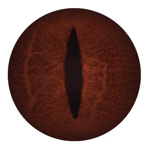 Item #12608542 Media