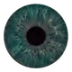 54759208