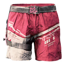 Pink Fury Shorts