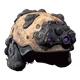 7630016