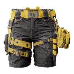 Black Friday Security Shorts