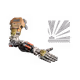 52816949