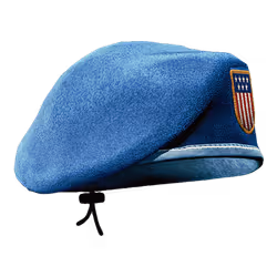 Civic Duty Beret